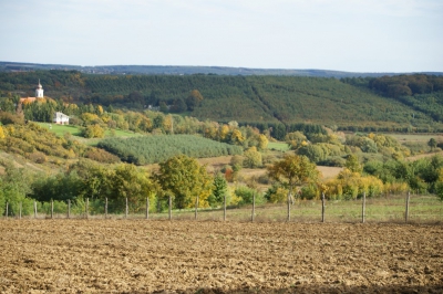Szüreti fesztivál_2013_132