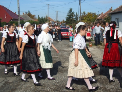 Szüreti fesztivál_2013_133