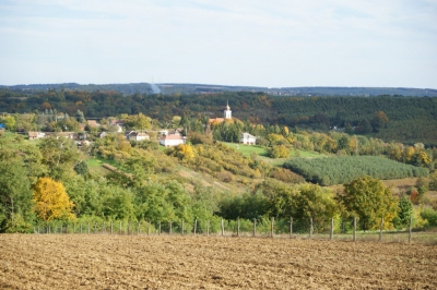 Szüreti fesztivál_2013_134