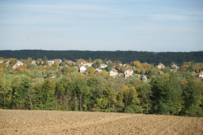 Szüreti fesztivál_2013_136