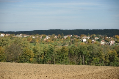 Szüreti fesztivál_2013_137