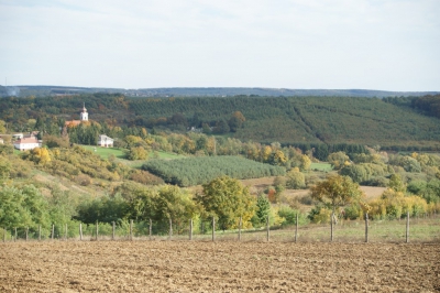 Szüreti fesztivál_2013_138