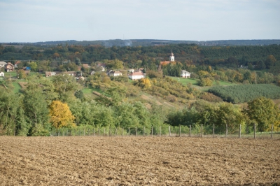 Szüreti fesztivál_2013_139