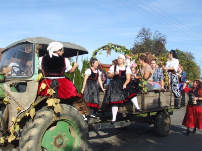 Szüreti fesztivál_2013_146