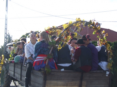 Szüreti fesztivál_2013_147