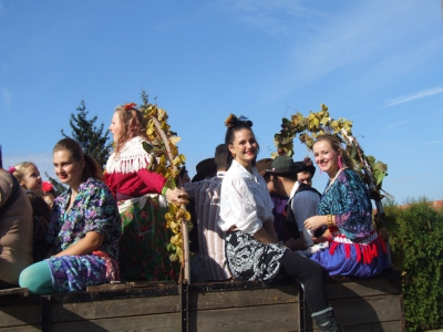 Szüreti fesztivál_2013_153