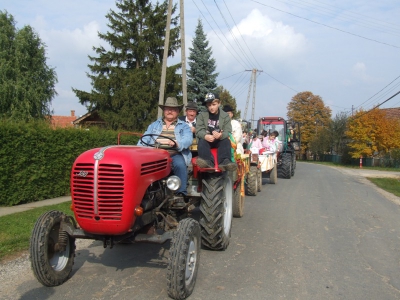 Szüreti fesztivál_2010_41