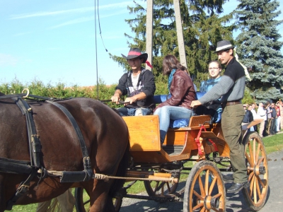 Szüreti fesztivál_2013_168