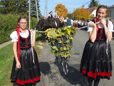 Szüreti fesztivál_2013_171