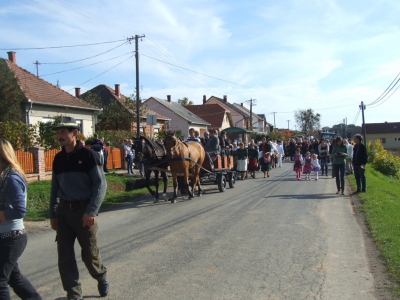 Szüreti fesztivál_2013_177