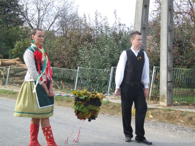 Szüreti fesztivál_2010_42