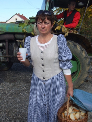 Szüreti fesztivál_2013_185