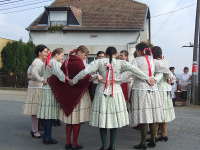 Szüreti fesztivál_2010_43