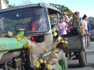 Szüreti fesztivál_2013_189