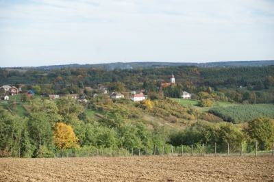 Szüreti fesztivál_2013_191