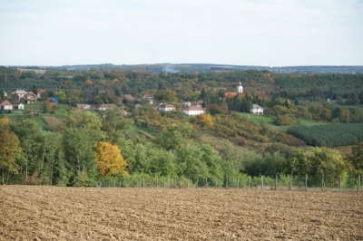 Szüreti fesztivál_2013_193