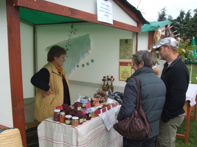 Szüreti fesztivál_2010_45