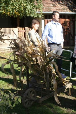 Szüreti fesztivál_2013_211