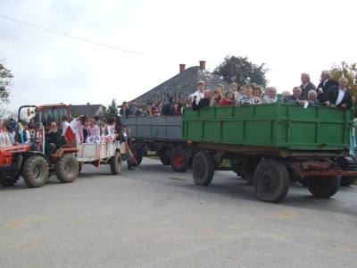 Szüreti fesztivál_2010_49