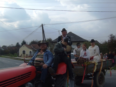 Szüreti fesztivál_2010_53