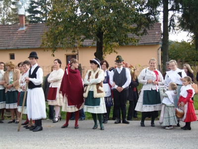 Szüreti fesztivál_2010_54