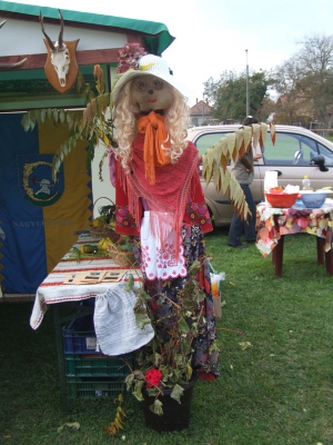 Szüreti fesztivál_2010_59