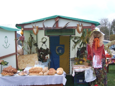 Szüreti fesztivál_2010_60