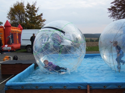 Szüreti fesztivál_2010_65