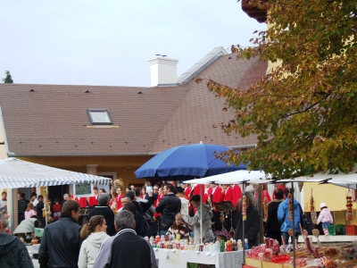 Szüreti fesztivál_2010_68