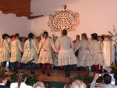 Szüreti fesztivál_2010_7