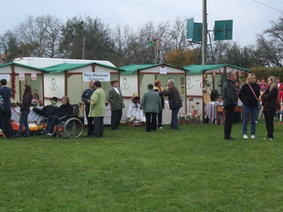 Szüreti fesztivál_2010_70