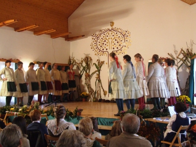Szüreti fesztivál_2010_73