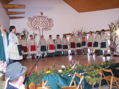 Szüreti fesztivál_2010_75