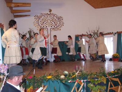 Szüreti fesztivál_2010_76
