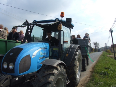 Szüreti fesztivál_2010_78