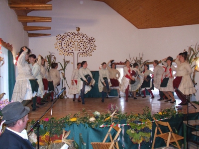 Szüreti fesztivál_2010_79