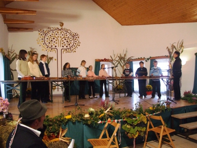 Szüreti fesztivál_2010_81
