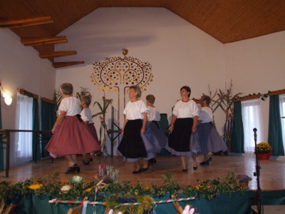 Szüreti fesztivál_2010_82