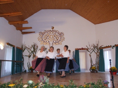 Szüreti fesztivál_2010_83