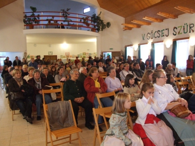 Szüreti fesztivál_2010_85