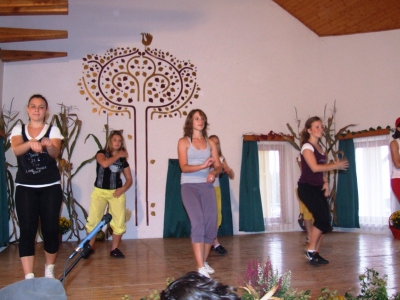 Szüreti fesztivál_2010_9
