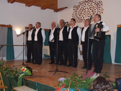Szüreti fesztivál_2010_99